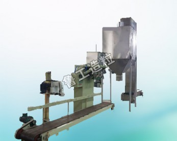 Corollary equipment of Lugong granulator - hoister